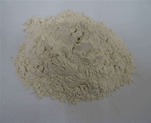 滁州沸石粉