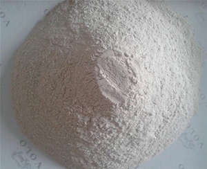 滁州沸石粉